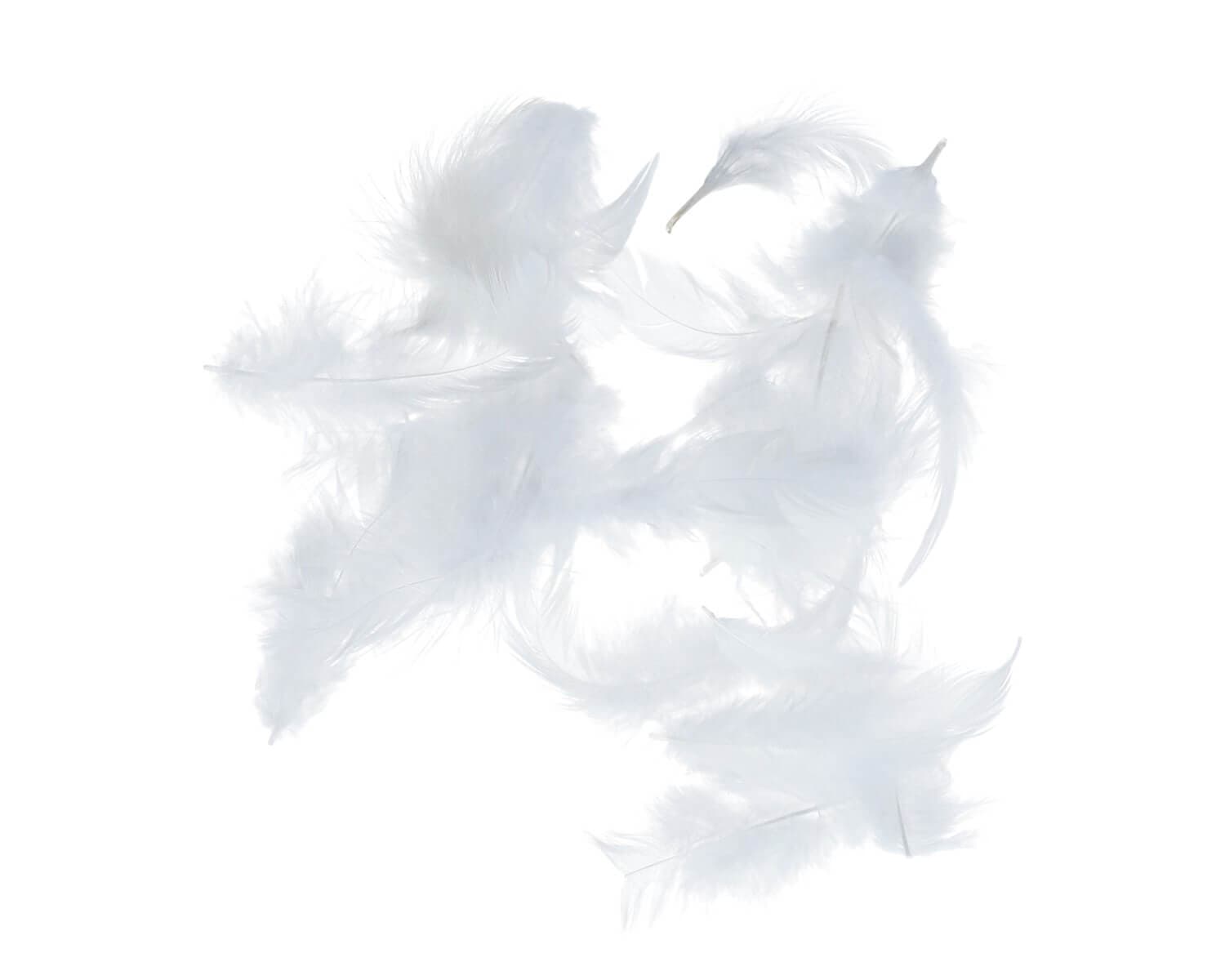 Titanum bílá dekorativní peříčka 10g pro kreativní tvoření