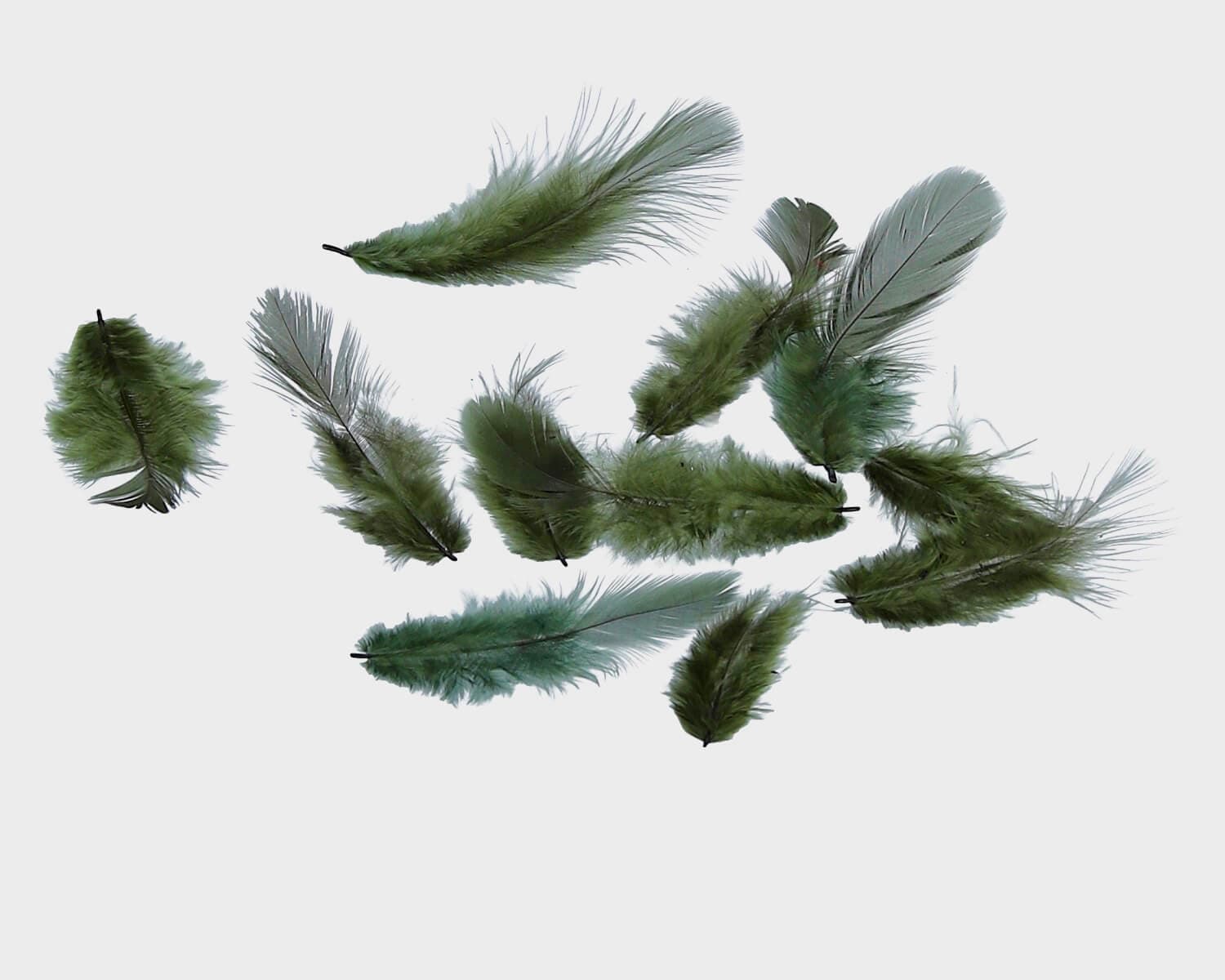 Titanum zelená tmavě peříčka 10 g kreativní tvoření