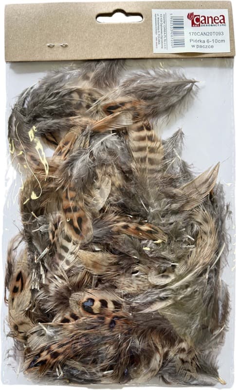 Titanum Canea hnědá kropenatá dekorativní peříčka 6-10 cm