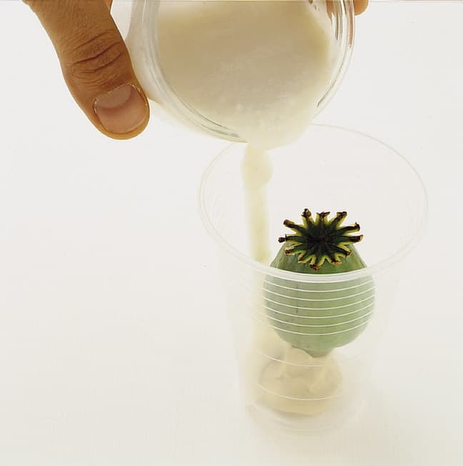 Pébéo alginát pro tvorbu forem a odlitků