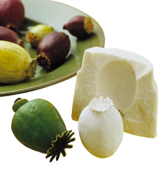 Pébéo Gédéo alginát prášek pro přesné formy