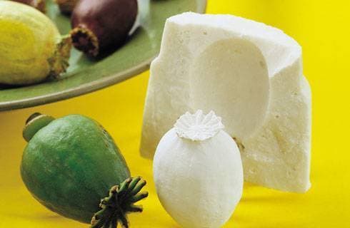 Hotový odlitek vytvořený pomocí Pébéo Gédéo alginátu