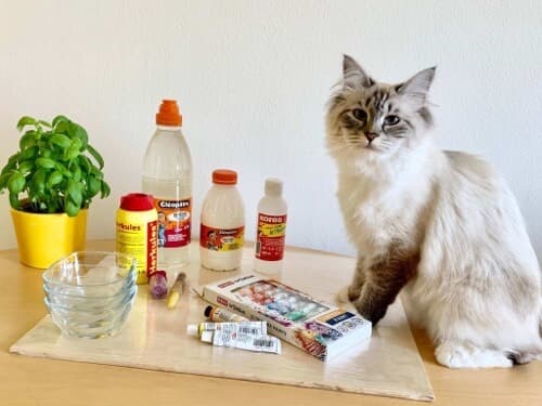 Druchema Herkules univerzální lepidlo boční pohled 250 g