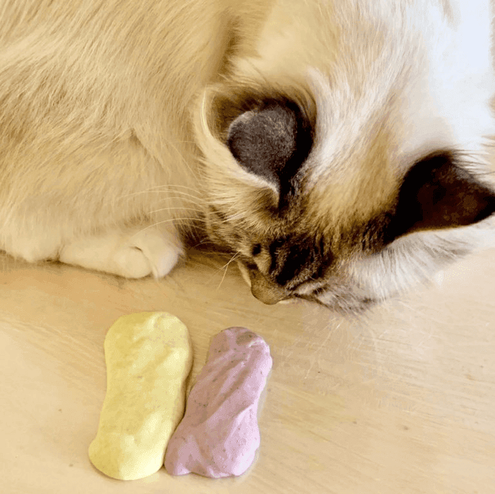 Použití lepidla Druchema Herkules 250 g v praxi