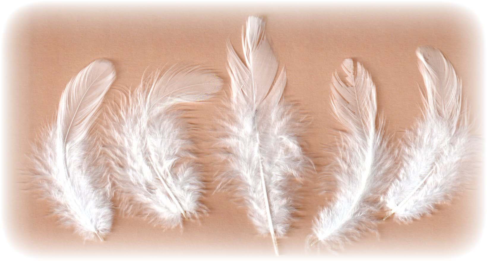 Bílá dekorativní peříčka 6-10 cm 10g kreativní tvoření