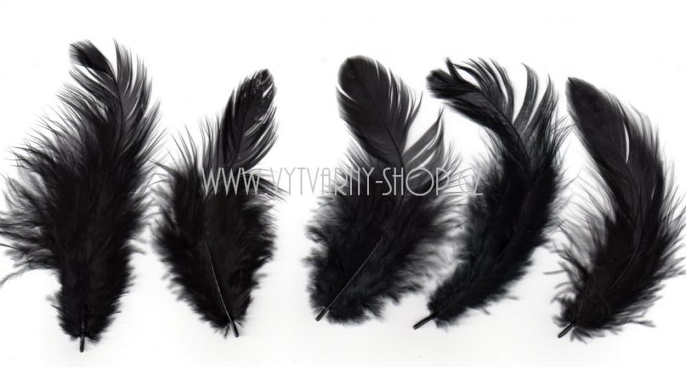 Černá dekorativní peříčka 6-10 cm kreativní tvoření 10g