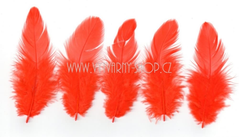 Oranžová dekorativní peříčka 6-10 cm kreativní tvoření sada