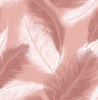 Dekorativní starorůžová peříčka 6-10 cm kreativní tvoření