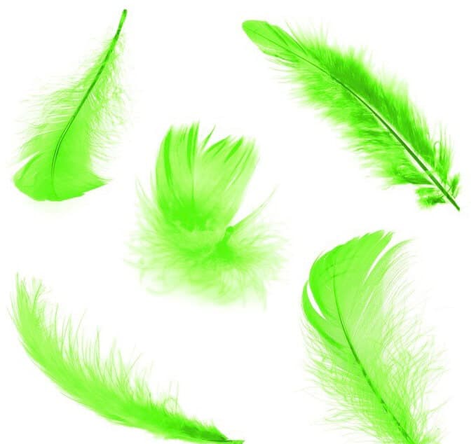 Světle zelená dekorativní peříčka 6-10 cm kreativní tvoření
