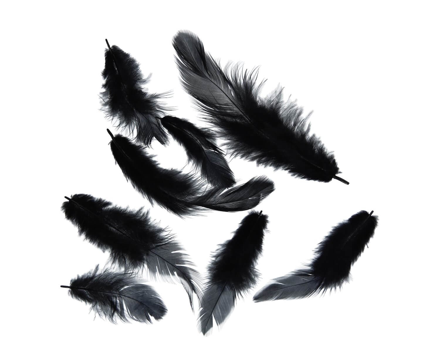 Černá dekorativní peříčka Titanum 10g pro kreativní tvoření