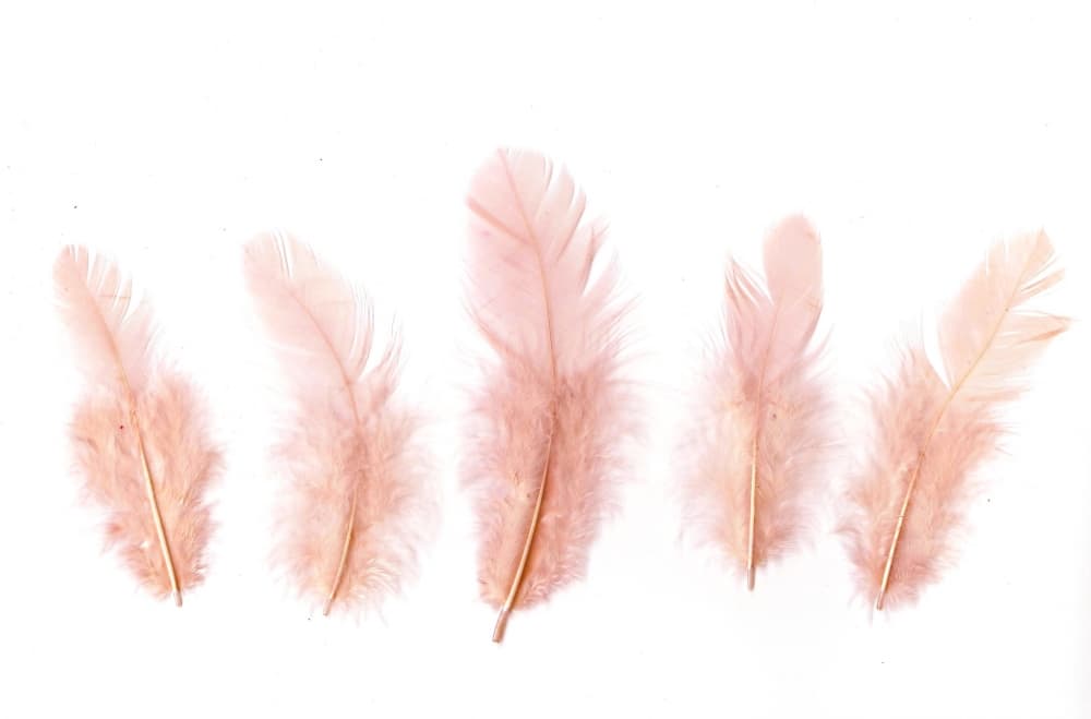 Béžová dekorativní peříčka 6-10 cm 10g kreativní tvoření