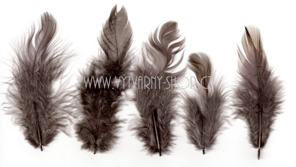 Hnědá dekorativní peříčka 6–10 cm sada 10 g
