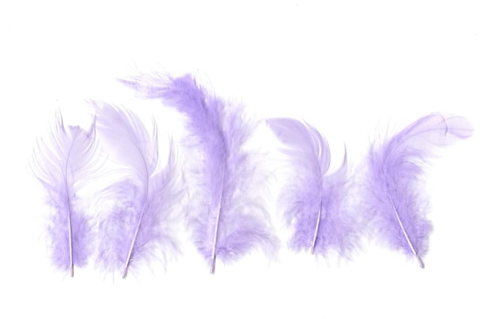 Levandulová peříčka 6-10 cm 10 g kreativní tvoření