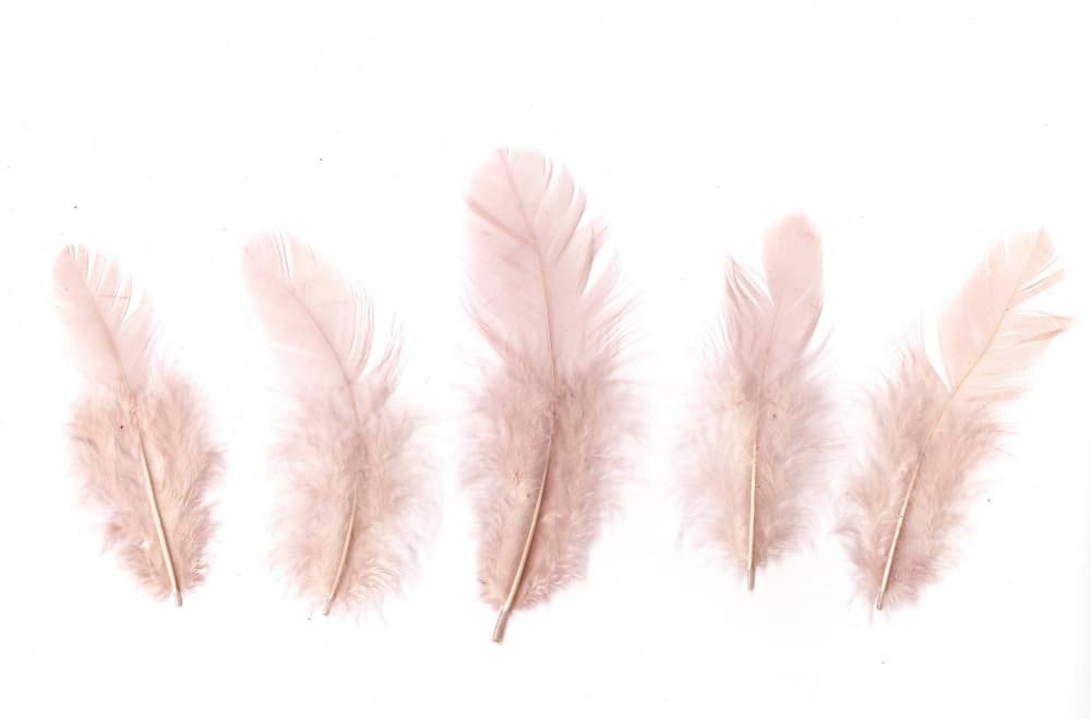 Pastelově žlutá krémová peříčka 6-10 cm kreativní tvoření