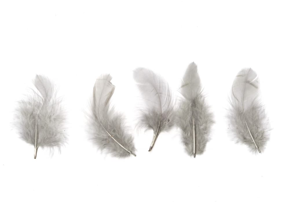 Tmavě šedá dekorativní peříčka 6-10 cm kreativní tvoření