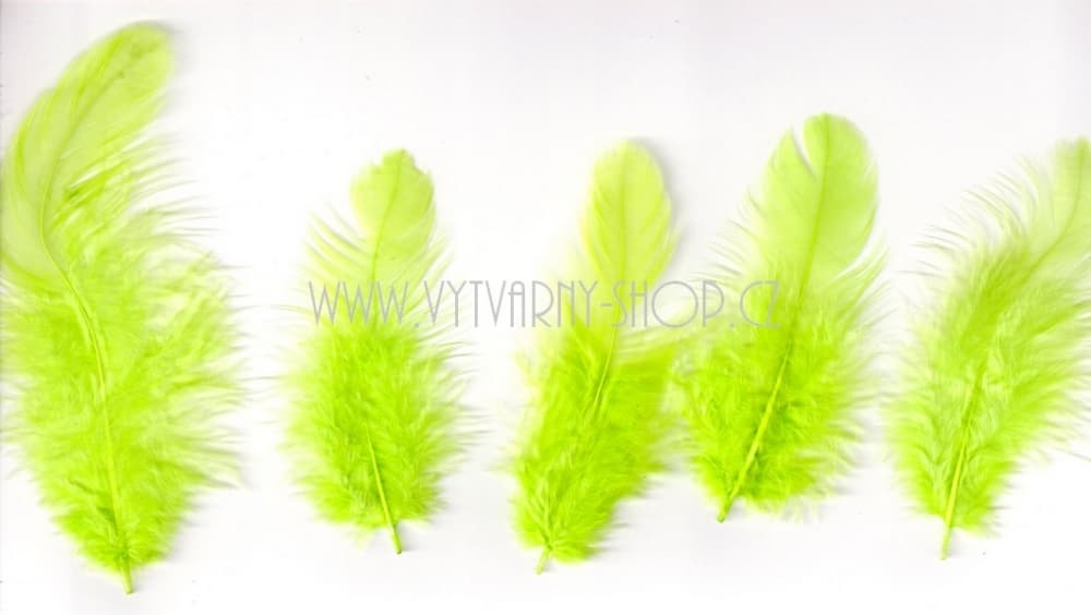 Zelená neon peříčka 6-10 cm kreativní tvoření sada