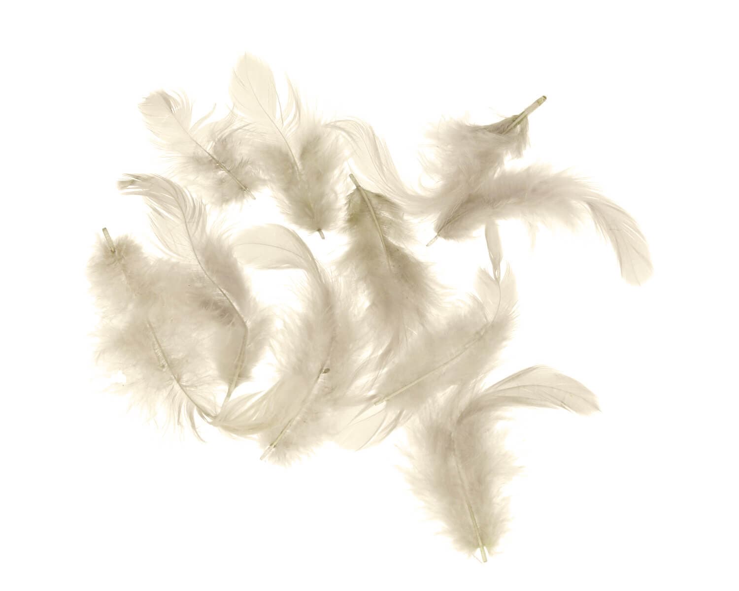 Titanum béžová hnědá peříčka 10 g kreativní tvoření