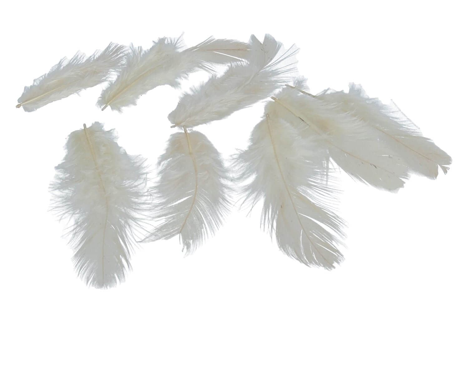 Peříčka Titanum 10 g krémová pro kreativní tvoření