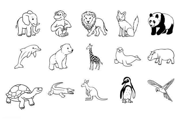 Sada 15 razítek Heyda ZOO pro kreativní tvoření