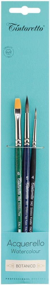 Tintoretto 8107 Botanico blistr se štětci pro malování