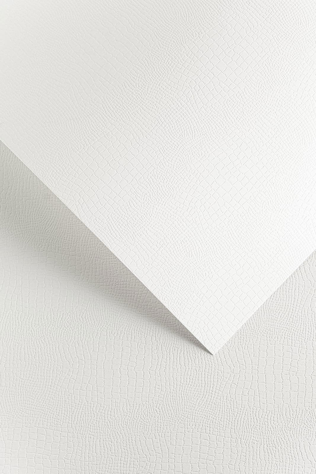 Galeria Papieru dekorační reliéfní karton A4 220g bílý Borneo