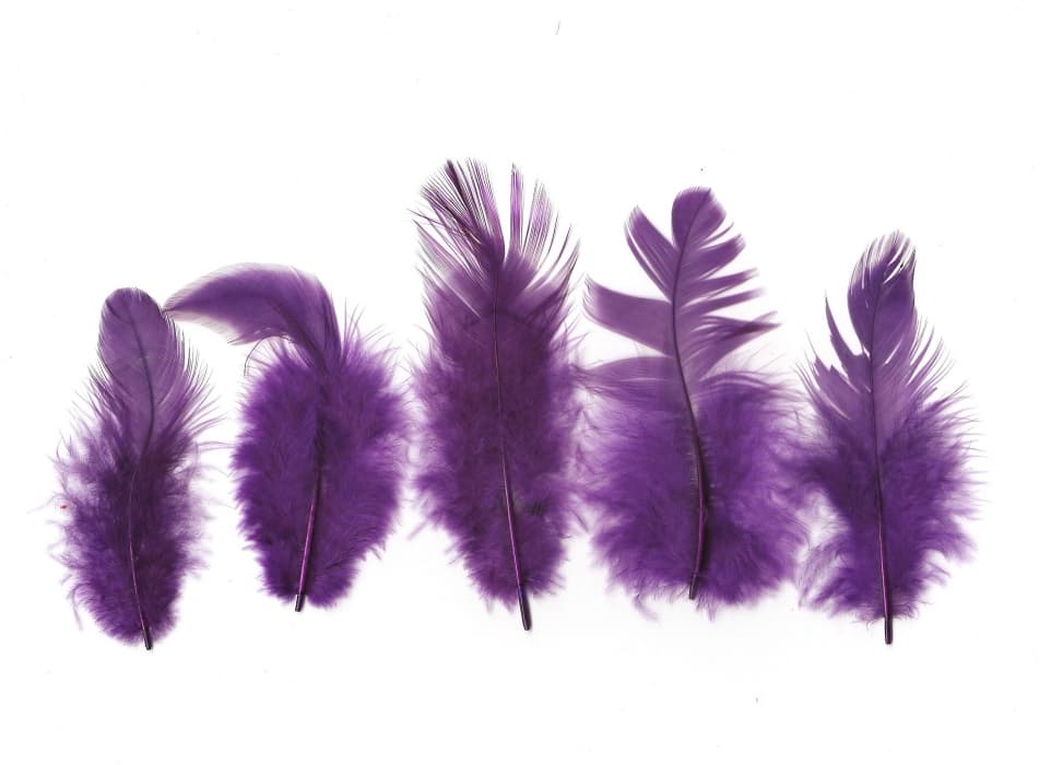 Bordeaux peříčka 6-10 cm 10 g kreativní tvoření