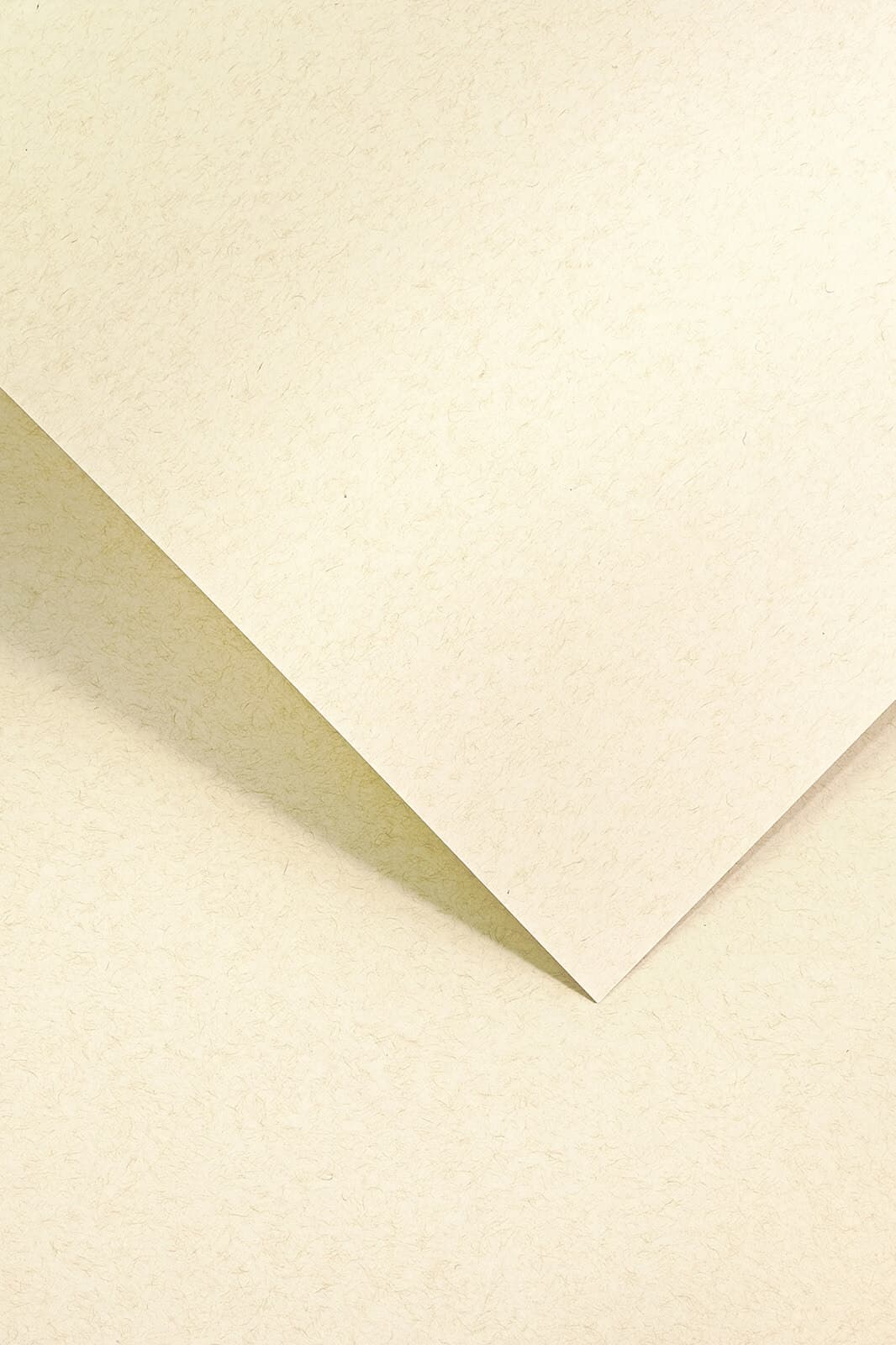 Galeria Papieru dekorační reliéfní karton A4 220g béžový