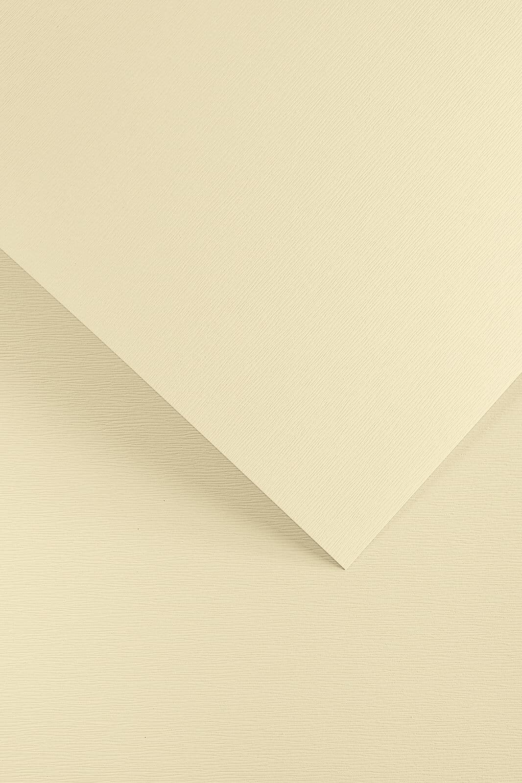 Galeria Papieru dekorační reliéfní karton A4 krémová kuřecí