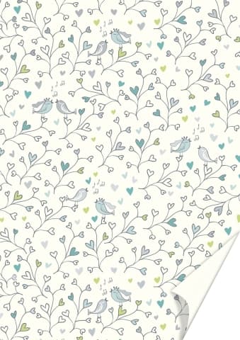 Heyda luxusní karton A4 srdce ptáčci stříbrno zelený