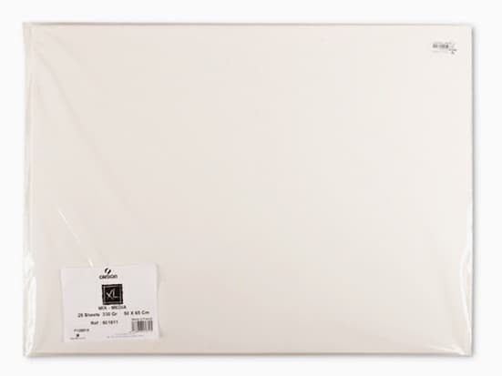 Canson XL Mix Media arch 300g formát 50x65 cm