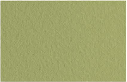 Fabriano Tiziano pastelový papír 50x65cm 160g Muschio arch