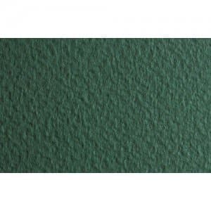 Fabriano Tiziano pastelový papír Salvia arch 50x65cm 160g